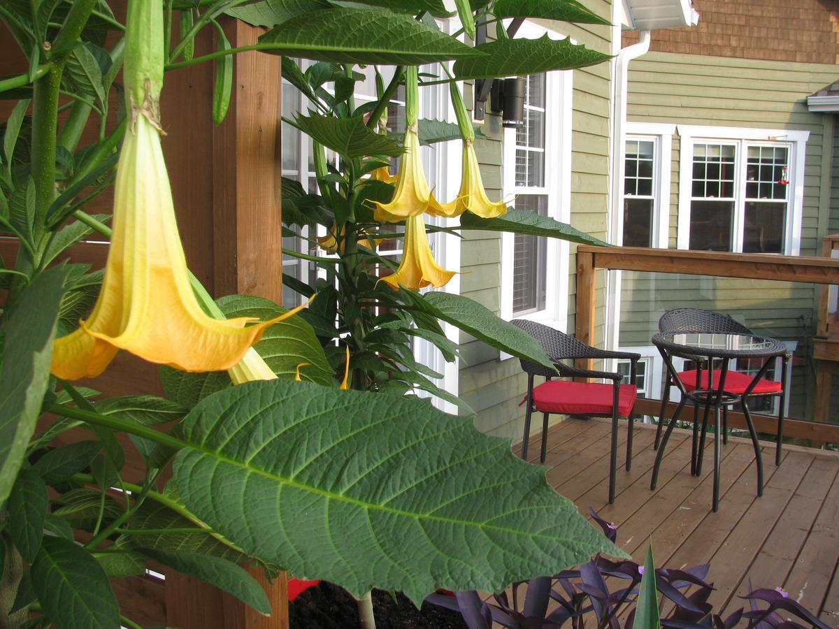 Gi'Temps Couette Et Cafe B&B Granby Kültér fotó